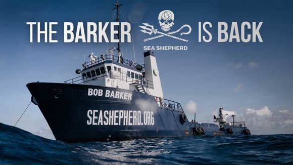 https://seashepherd.org/legacy-giving/