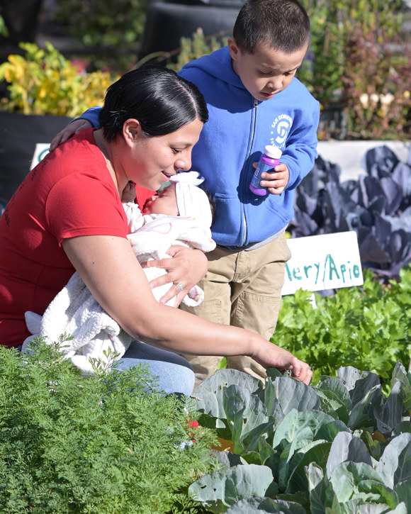 Community Action Marin - Roxana