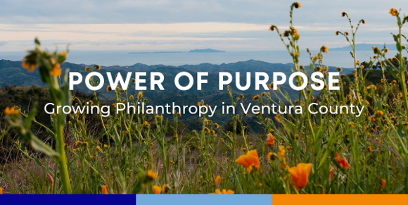 Power of Purpose Newsletter header, an image of poppies in the mountains above Ventura
